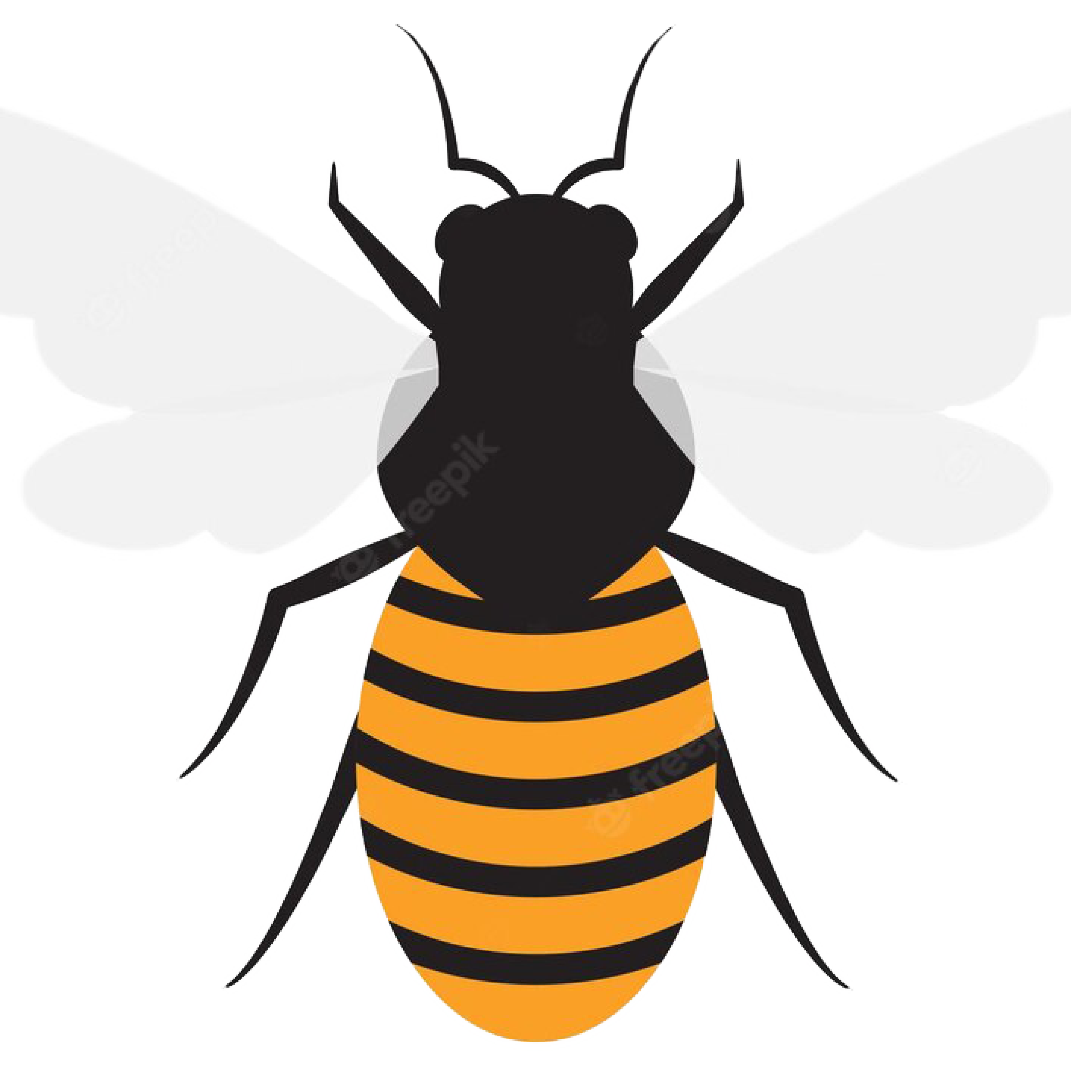 pest-6