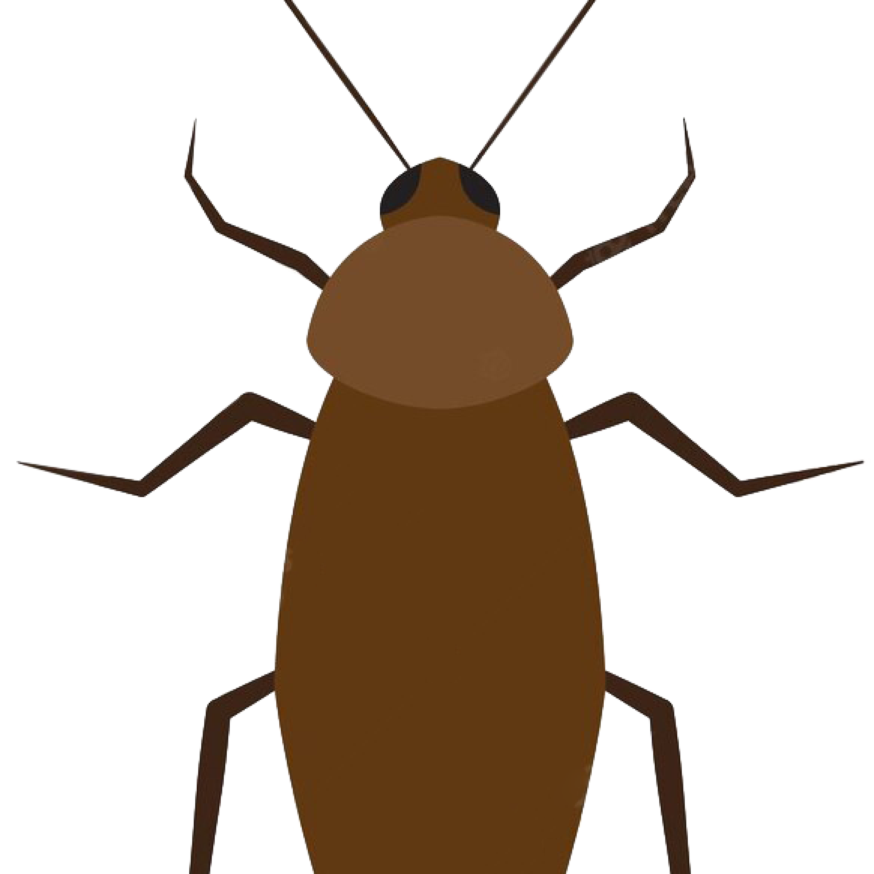 pest-7